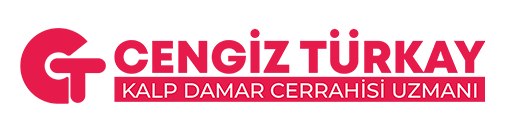 Prof. Dr. Cengiz Türkay